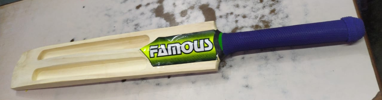 Cricket bat 2