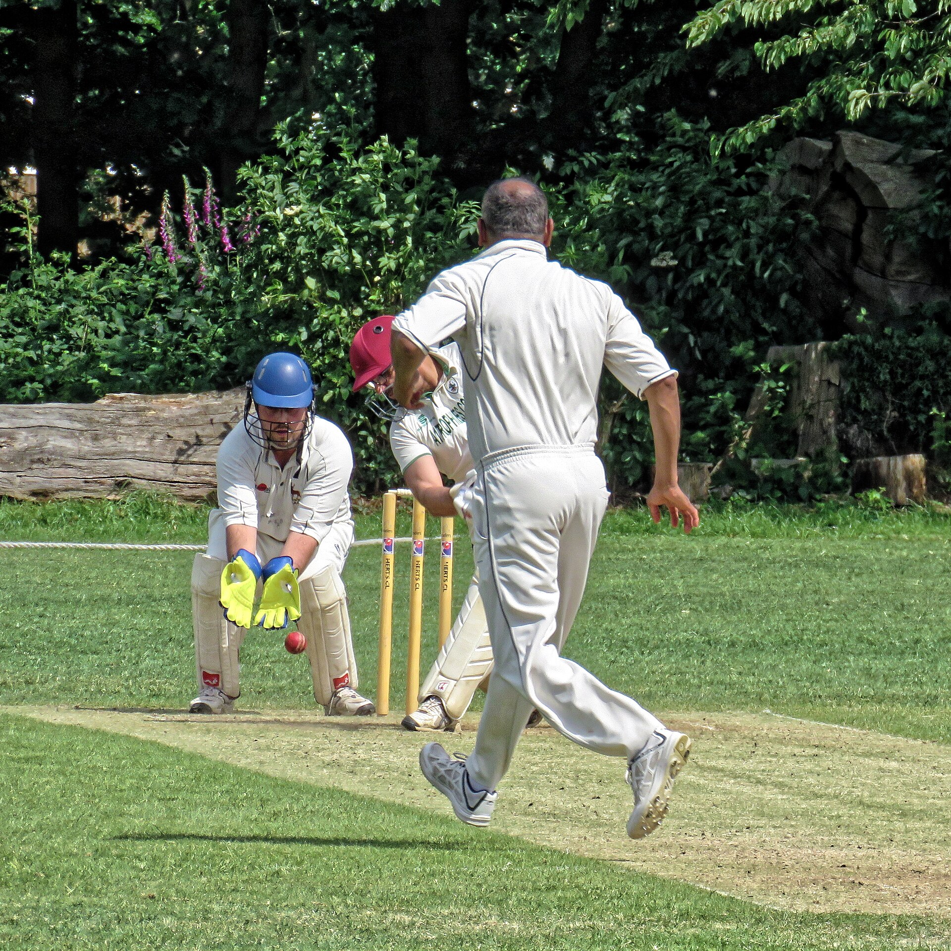 Southgate Adelaide CC v Stevenage CC at Southgate, London England 13